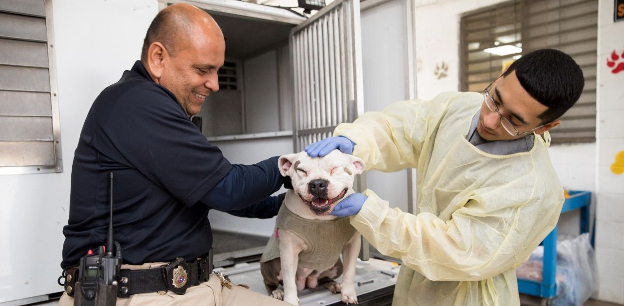 Animal control officer and shelter staff intake a dog