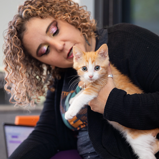 Person in black sweater holding orange and white kitten