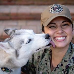 Military service member being licked on the face by a husky dog