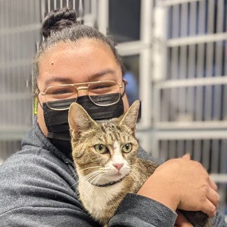 woman with a face mask holding a cat in an animal shelter