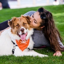 Woman kissing brown and white dog lying in grass