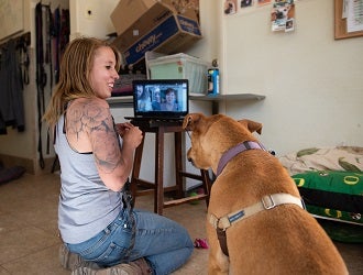 Person in gray shirt sitting in front of lap top with brown dog virtually meeting adopters