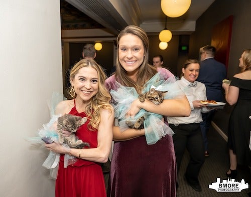 two cats at their wedding fundraiser