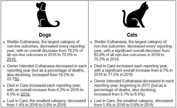 Cat Dog Chart 
