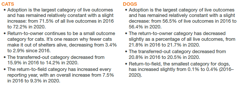 Cats vs. Dogs live outcomes
