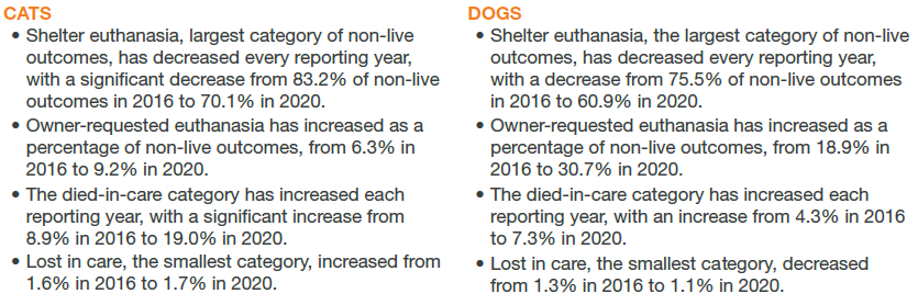 Cats vs. Dogs euthanasia