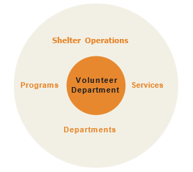 Volunteer Circle Chart 