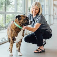Jacksonville Humane Society Executive Director Denise Deisler with a brindle and white mixed breed dog