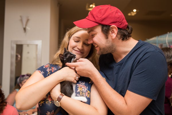 A man and woman get to know a kitten at an animal adoption event