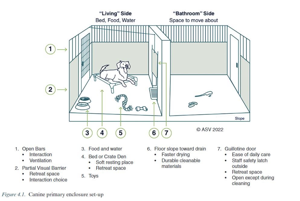 canine enclosure setup graphic from ASV Guidelines
