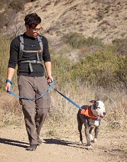 Dog on enrichment hike with caretaker