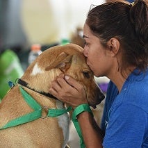 Woman with dark hair in blue shirt kissing brown dog wearing green leash