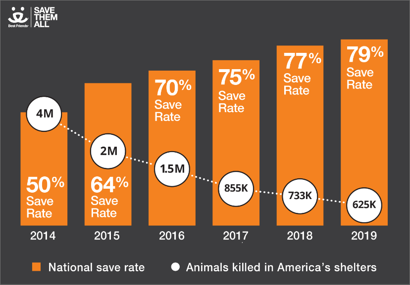 Black and orange chart showing save rate