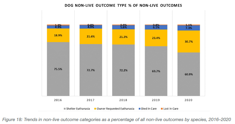 Dogs non-live outcome type % of non-live outcomes