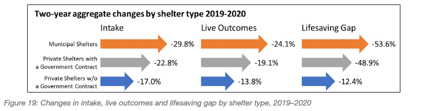 Changes in intake, live outcomes and lifesaving gap by shelter type, 2019-2020