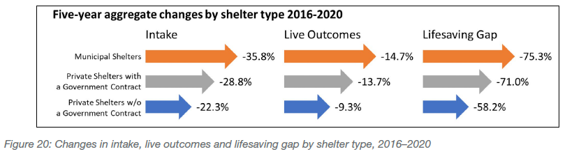 Changes in intake, live outcomes and lifesaving gap by shelter type, 2016-2020