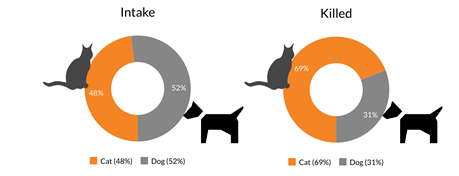 Intake percentage and percentage killed by species chart