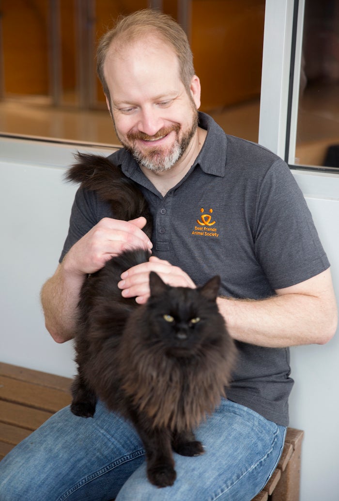 A man with a beard is smiling while he is petting a black fluffy cat on his lap