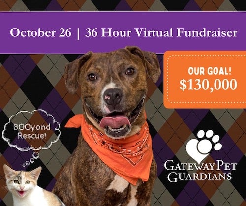 gateway pet guardians fundraiser promotional image