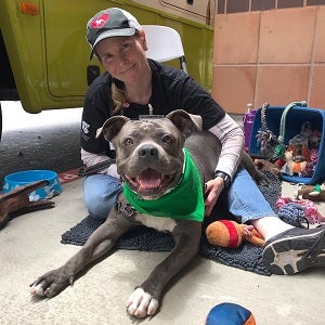 Woman sitting next to big dog with toys