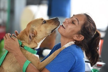 Woman in blue shirt with brown dog sniffing her face