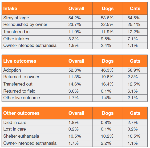 Intake and outcomes tables