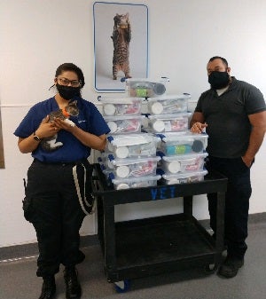 Two shelter staff members one holding a kitten standing next to a cart of kitten kits