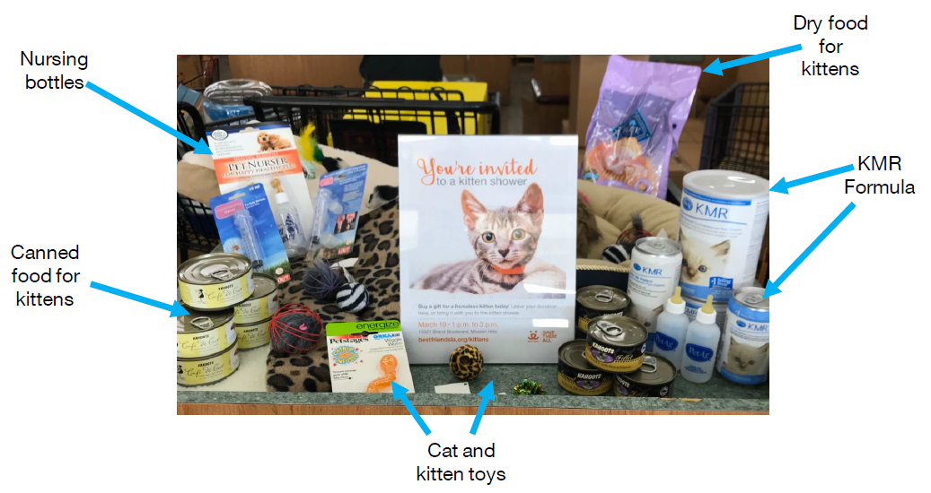 Kitten Shower Product Donations