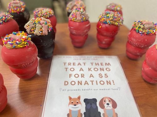 Kong dog toys filled with treats for a fundraiser