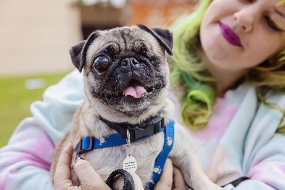 woman holding a one-eyed pug