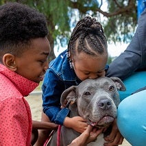 Little girl kissing gray pit bull type dog with little boy in pink shirt sitting next to dog