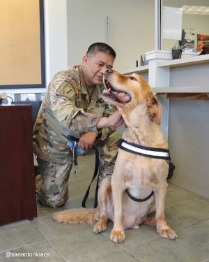 A soldier petting a golden retriever dog in an animal shelter