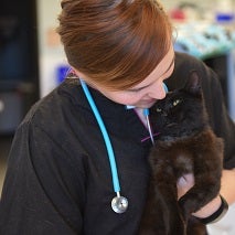 Woman in dark blue scrubs holding black cat