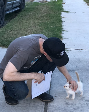 Man petting kitten on sidewalk