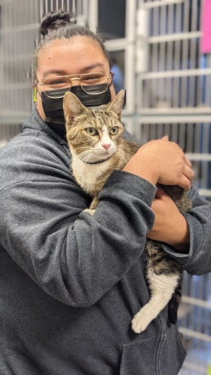 A woman in glasses and a face mask holds a cat in an animal shelter