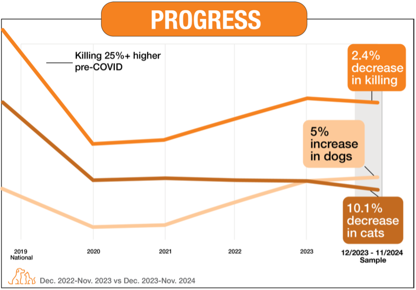 Progress graphic showing total killing increased 40% from 2020 to 2023, with a 2.4% decrease, 5% increase in dogs, and 10.1% decrease in cats from Dec 2023 to Nov 2024.