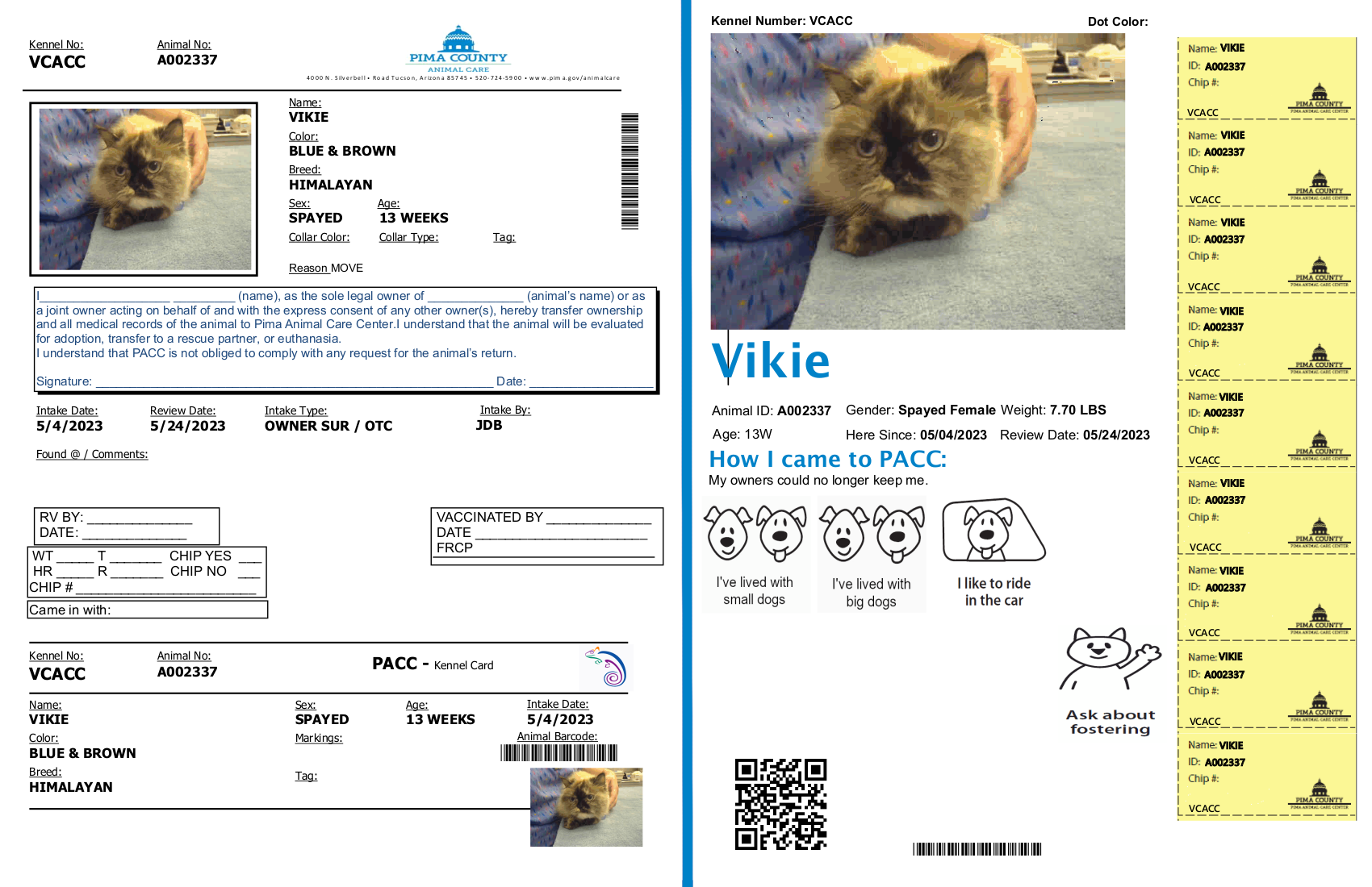 Pima Animal Care and Control Kennel Card before and after