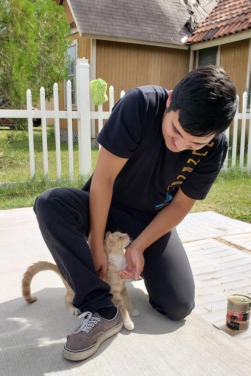 A caregiver interacts with a community cat outside