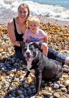 Blond woman in dark tank top with little girl in pink shirt on beach sitting with black and white pit bull type dog