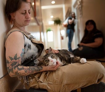 Person sitting on floor with cat on lap