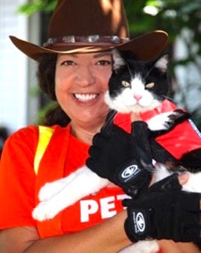 Lost Cat Finder - Pet Detective Kim Freeman