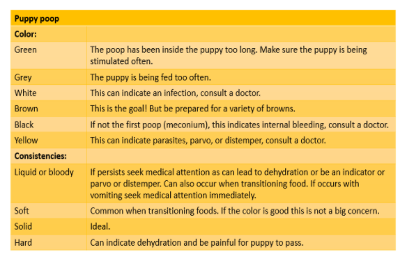 Puppy Poop Chart