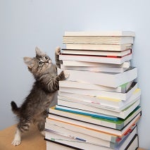 Tabby kitten standing up against stack of books to the right