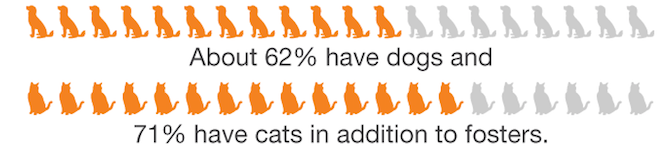 a row of dogs at 62% and a row of cats at 71%