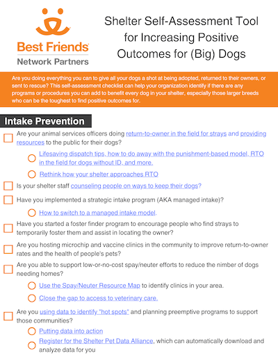 Screenshot of the self-assessment tool for increasing positive outcomes for big dogs