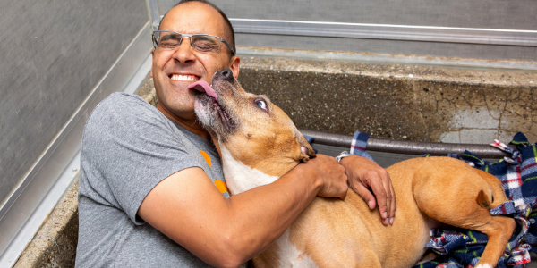 Man being licked in the face while lying with brown dog
