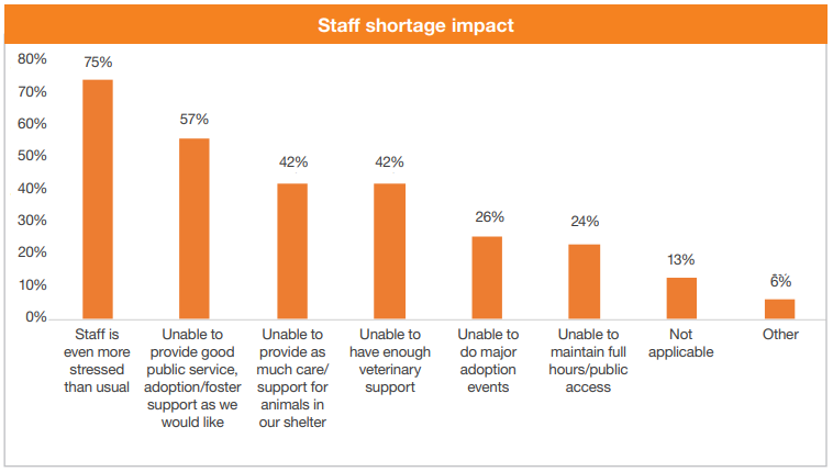 Staffing shortage impact chart