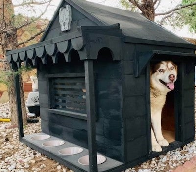 a dog sitting in a "dream doghouse"