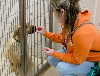 Tierney giving dog treat in kennel