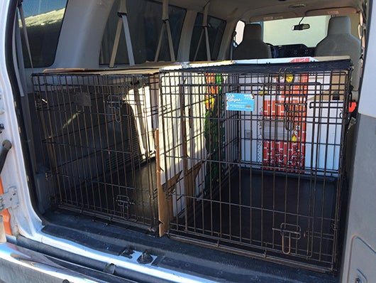 This set up is configured to transport two dogs. If only transporting cats, build two stacked rows of 3 kennels in each row